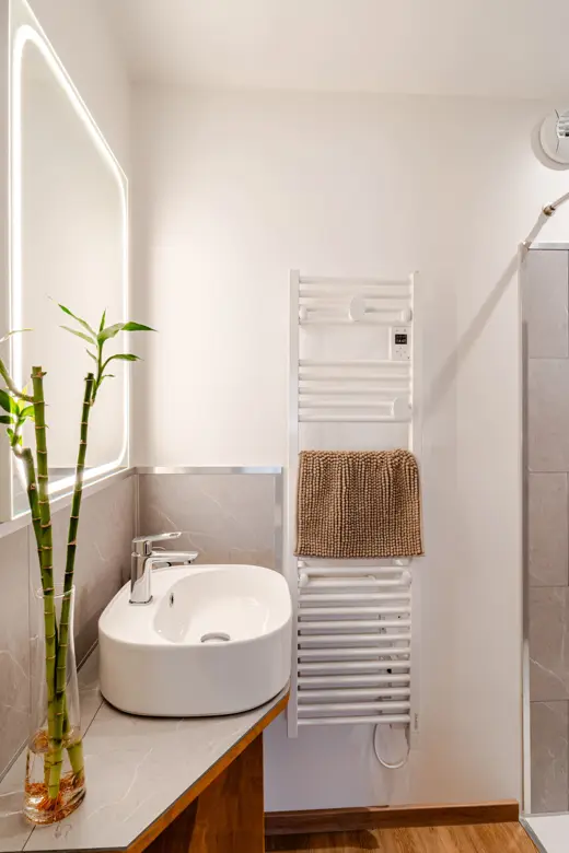 Salle d'eau avec vasque et sèche-serviettes